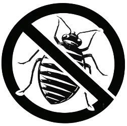 Bed Bug Treatment