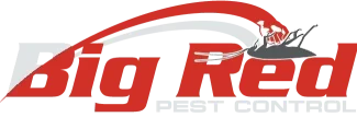 Big Red Mobile Logo