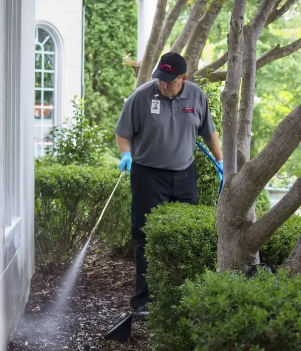 big red pest control - emergency pest control