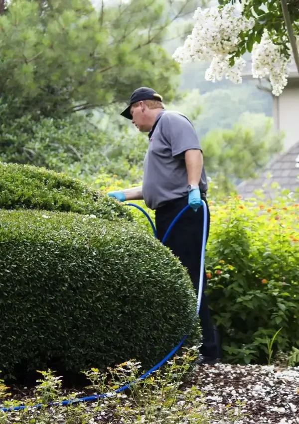 big red pest control serving another hoover al homeowner
