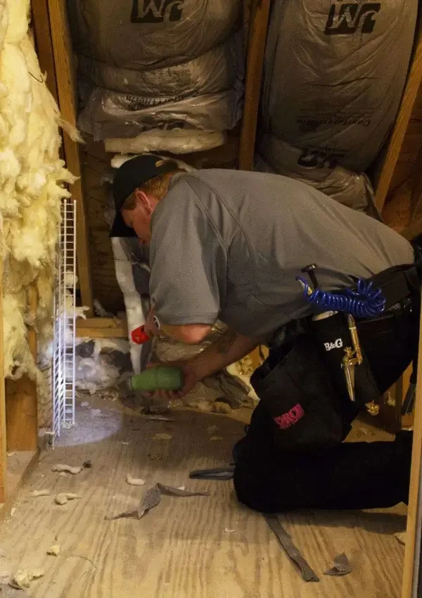 big red residential pest control services