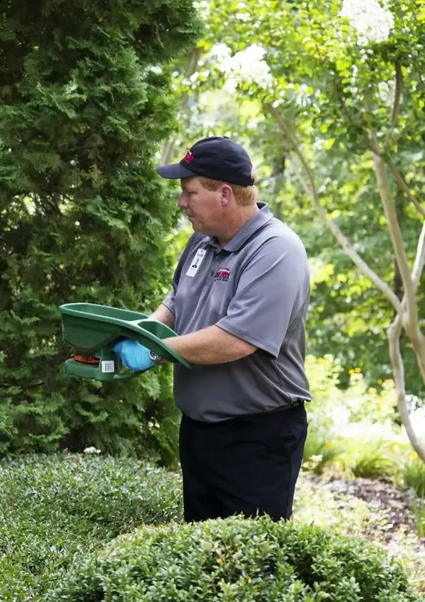 emergency pest control service by big red pest control